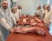 carne